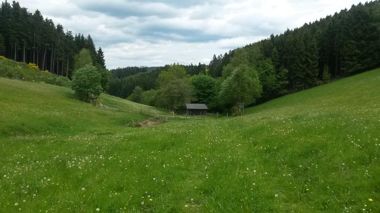 Ferienwohnung Schmallenberg Eksteriør billede